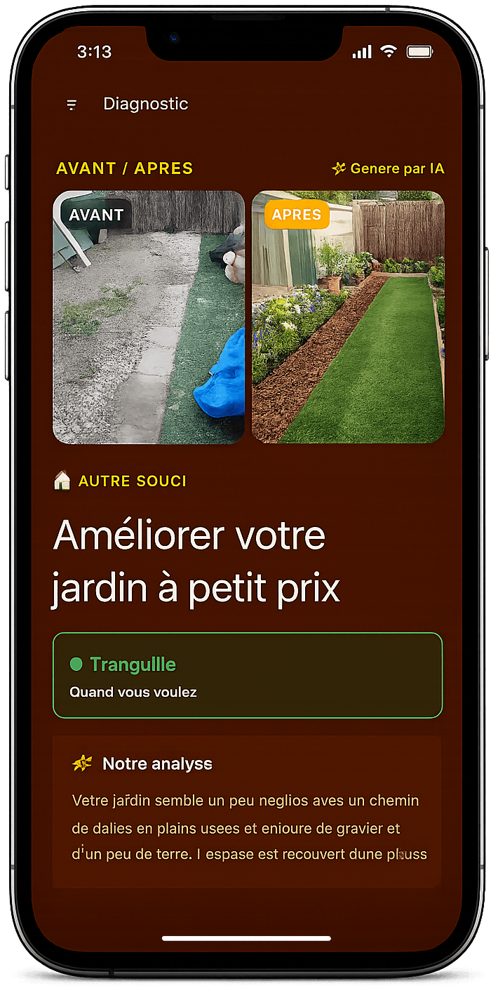 Diagnostic BRICIO — comparaison avant/après générée par IA